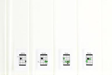 Chord chart visualization